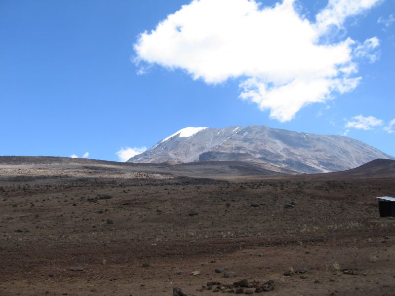 Kili (151) look back